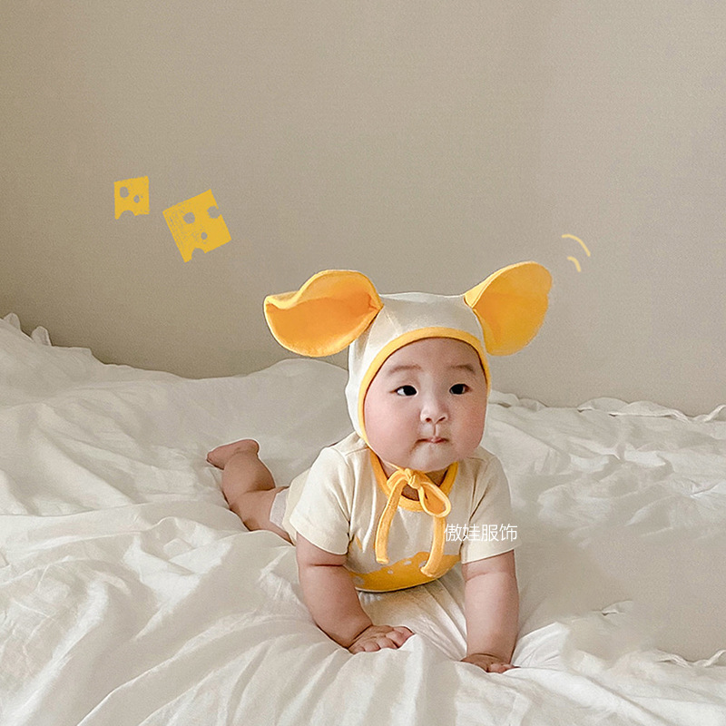 cheddarcheese_set_06