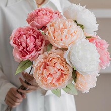 ����ɻ�ĵ����ɫ��ɫ��ș�͏d�ٻ��Ĕz��������OӋ���滨����