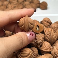 浅纹爆肚雕刻料/做串原料野生龙纹桃核原籽散籽产地批发