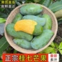 广西田东正宗香甜水果