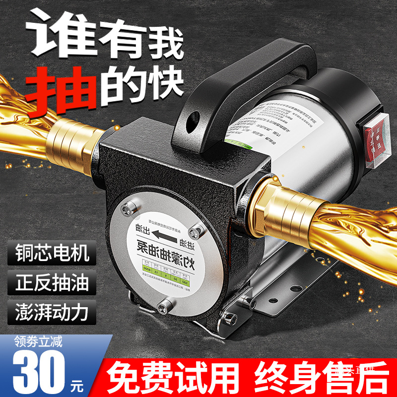 电动抽油泵12v24v通用220v柴油泵小型加油机抽油机自吸泵吸油铁名