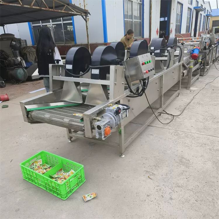 哈尔滨红肠风干机 百香果风干设备 水果除水风干机器