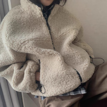 生2025冬季新款韩国东大门纯色温柔立领拉链羊羔毛皮毛一体外套女