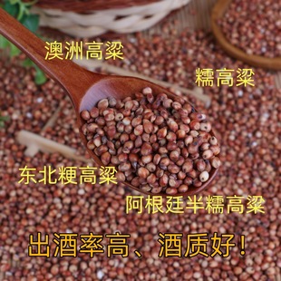 �F؛���l��Ƥ�t����ᄾ��¼�Ŵ�t����ᄴװ��ޖ|����������100��