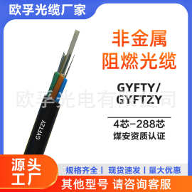gyfty/gyftzy-24b1  单模非金属光缆24芯  导引光纤站内光缆