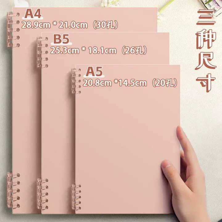 Loose-leaf Notebook Morandi B5, Thick Detachable Pages, Hand-friendly — A5/B5/A4, Pastel Covers