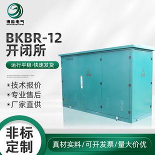 BKBR-12�_�]���h�W�����������_�]���߉���♙��늙��Љ���ʽ