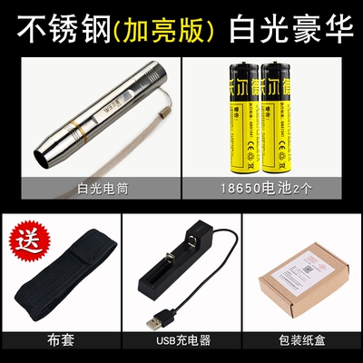LED flashlight-style egg inspection light, UV fənərlər - stainless-steel-polished-version-luxury-comes-with-a-flashlight-case
