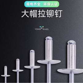 大帽铆钉铝制抽芯铆钉大头拉钉大帽沿拉铆钉