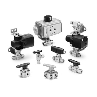 Swagelok SS-43GS4 1/4in��������_�P ��ֹ�y���׽��^һ�wʽ���y