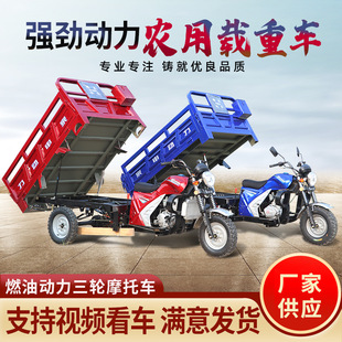 �������ń����r���d��܇ ȫ���d������݆܇ ȼ���r��؛�\��݆܇