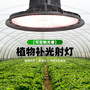 ����LED����ֲ���a�����̫ꖹ�ֲ�����L��UFO�߲˲�ݮ����ֲ���