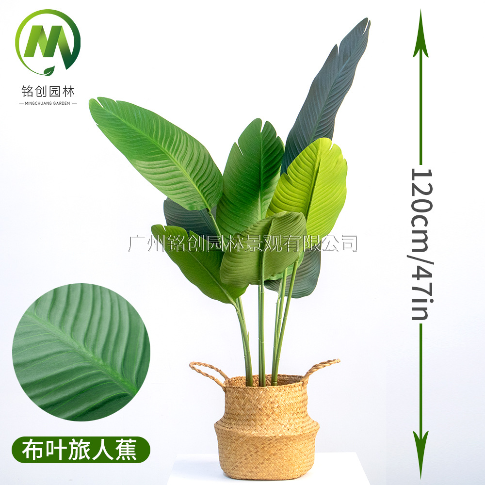 Árbol de simulación transfronterizo, plátano viajero, planta en maceta, nueva planta de simulación, pájaro del paraíso, planta verde de simulación de hoja grande, plátano viajero