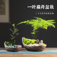 小叶紫檀紫砂花盆陶瓷中式古典禅意家用桌面文竹摆件带托盆景