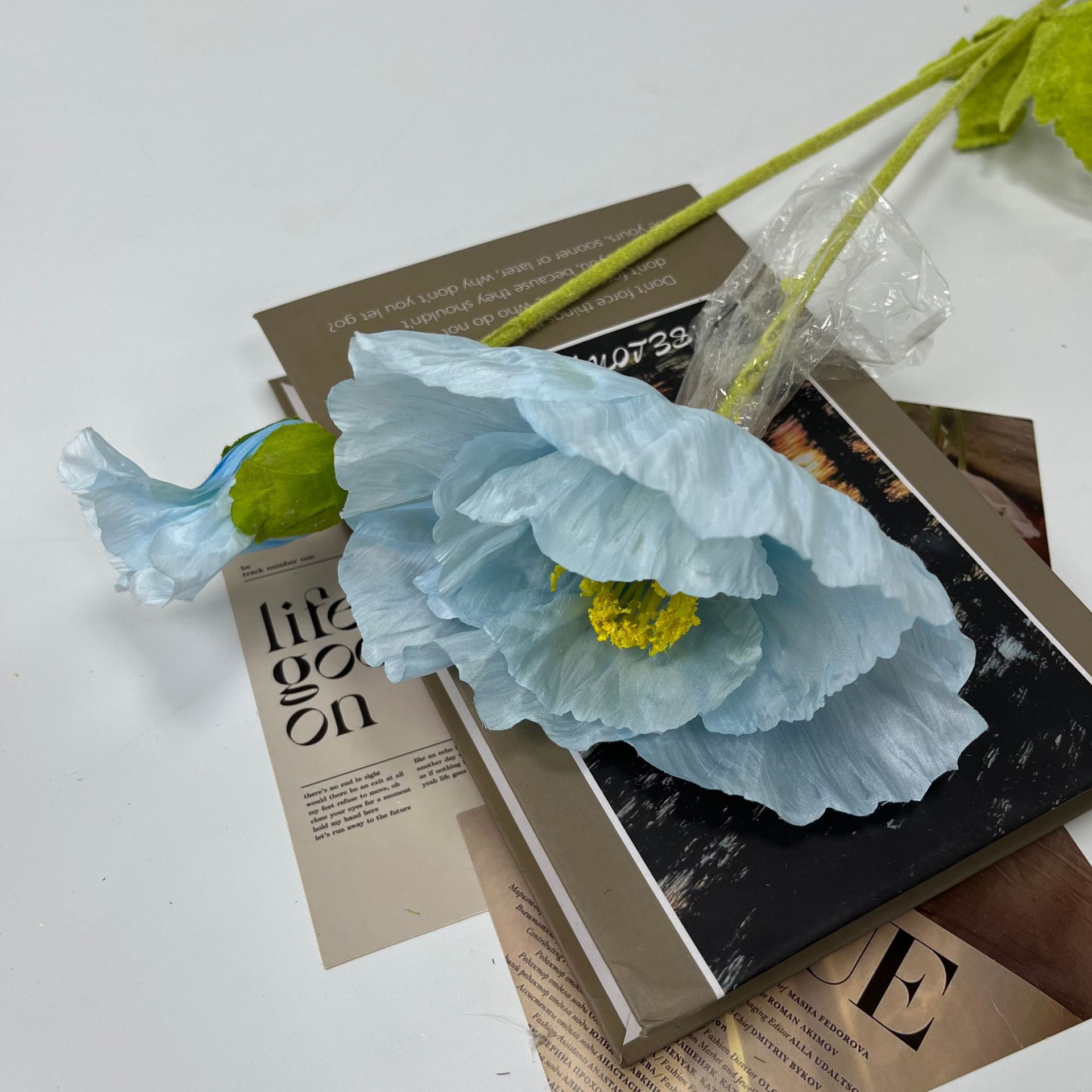 큰 양귀비 하늘색