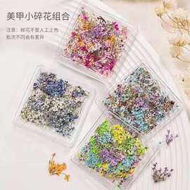 网红同款日系小清新美甲干花彩色花瓣ins风莫奈花园diy材料装饰品