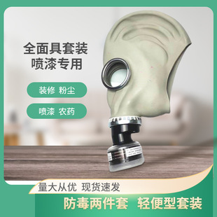 Gas Mask Spray Paint Full Face Mask Full Face Protection Fire Chemical Formaldehyde Biochemical Poison
