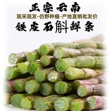 铁皮石斛鲜条500g露天种植现货现发包邮到家农产品现采新鲜石斛