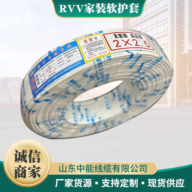 Manufacturer Wholesale Yuwan Model 3X1 Square Oxygen-Free Copper Core Model for Home Decoration Rvv 3*1