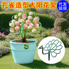 新商品の太陽の花の棚の孔雀の形の花の棚のベランダの花の支えの棚の太陽の花の専用の固定の花の棚
