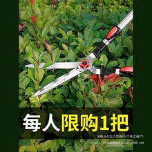 德国园艺大剪刀果树枝花园草坪修枝剪日本园林绿化工具绿篱剪