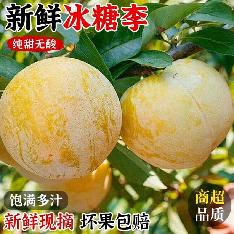 Authentic Sichuan Candied Plums, Fresh Seasonal Fruits, Peach Blossom Sugar-Plum Fruits
