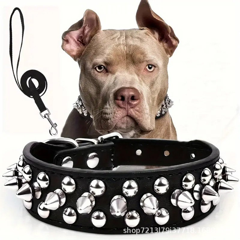 Amazon Explosions Pet Collar Bullet Stud Rivet Dog Collar Dog Chain Punk Dog Collar Source Factory Amazon Explosions Pet Collar Bullet Stud Rivet Dog Collar Dog Chain Punk Dog Collar Source Factory