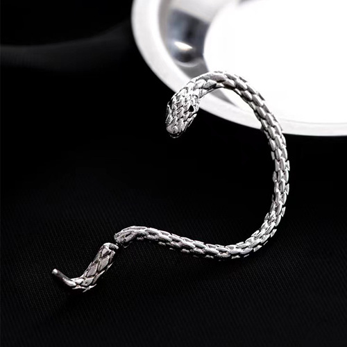 Unique and Creative Snake-Shaped Earrings with Exaggerated Design, Trendy and Sophisticated, Dark Glam Rock Star Earrings