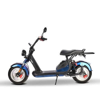 Warehouse Direct Delivery, Elektrikli motosikletlər