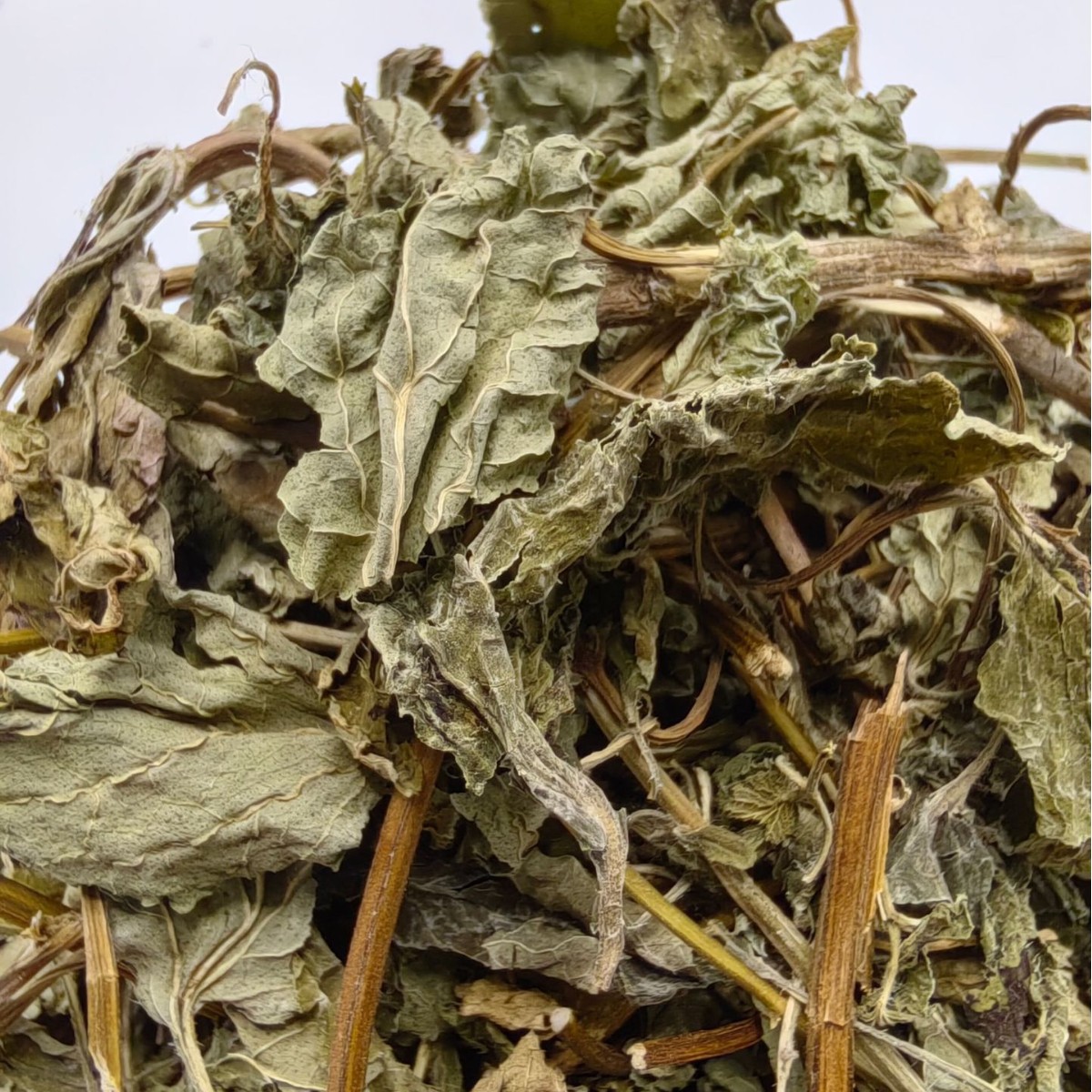 基地直销新货优质天然晒制柠檬香蜂草干叶香蜂草叶枝叶各半批发