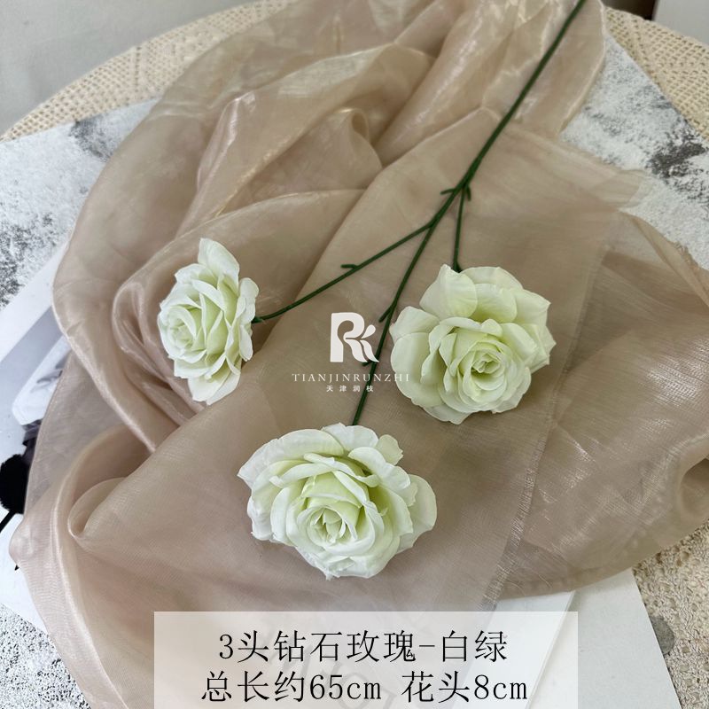 일반 다이아몬드 로즈 화이트 그린