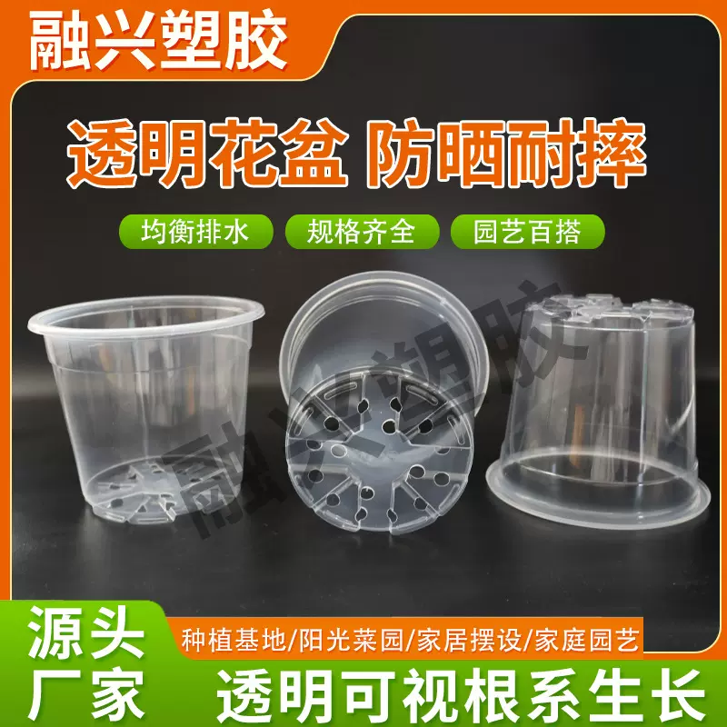 小园丁定制透明花盆 塑料花盆底部透气透水多规格透明育苗盆花盆