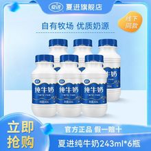 纯牛奶243ml*6瓶装 新鲜日期囤奶学生营养早餐奶宁夏奶源