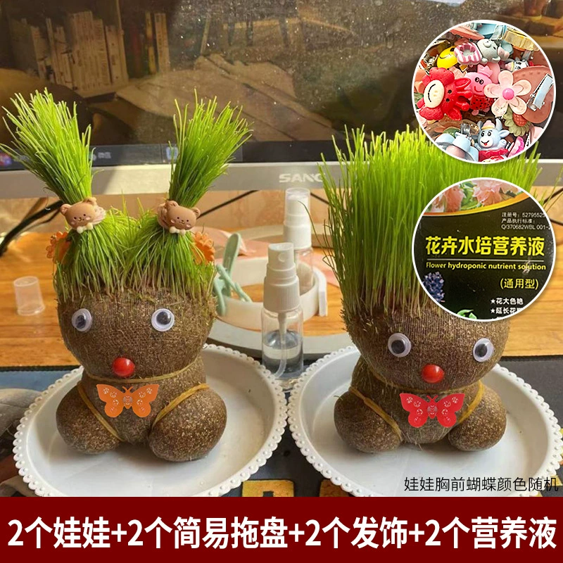 [批发草头娃娃浇水头上长草人绿植长头发儿童好养种草幼儿园桌面小]