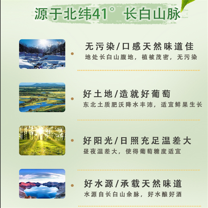 沃雪葡萄酒果酒 莫吉托風味長島冰茶水果低度甜酒定製貼牌代工