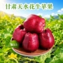 天水甘肃新鲜食用水果