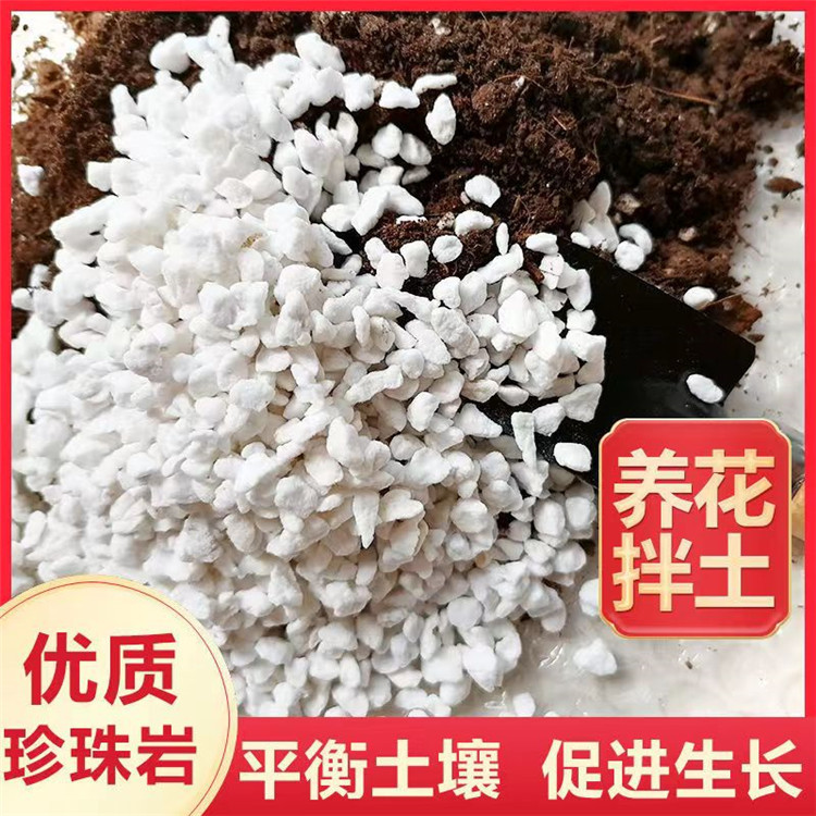 厂家供应膨胀珍珠岩筑用园艺珍珠岩颗粒园艺种植珍珠岩