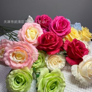 ��c���滨3�^����õ��ٻ�ܛ�b���û�Y�Ýu׃ɫ�廨�ķ����Gֲ