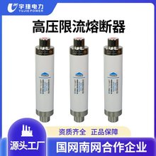 SDLAJ熔管XRNT1-12KV/10A-12熔芯24KV高压高分断限流熔断器35KV
