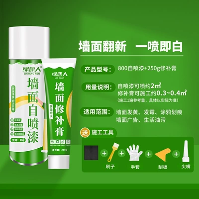 Household Paint Coating Repair Paste | Sheet Metal Spray Repair - self-painting-800-repair-paste-250g-wall-repair-package