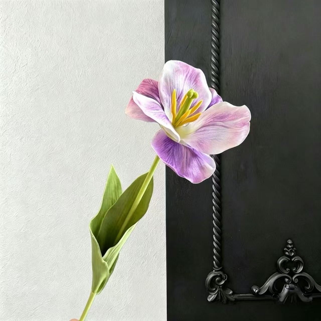 핑크 보라색