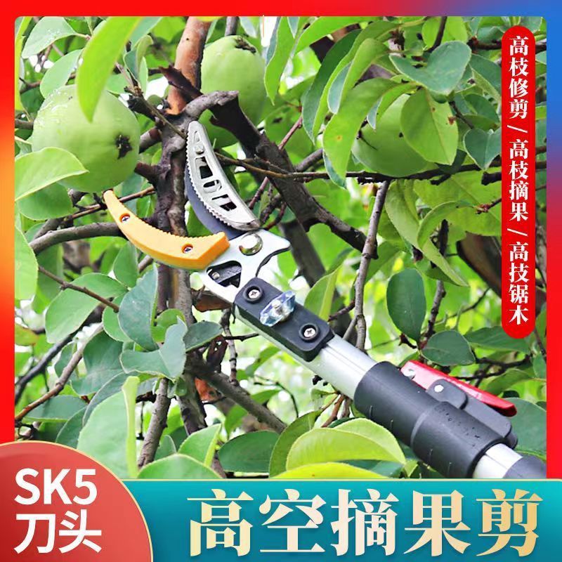 摘果神器高空采摘神器伸缩杆摘树枝加长杆修枝枇杷龙眼荔枝摘果剪|undefined