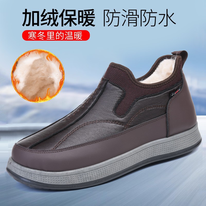 Rk male - lint - brown