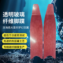 ͸�������w�S�z�q�_�� ���ɝ����w�_�� LEADERFINS �����w�S�_��