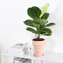 ~űWL~Ƥſ͏dֲGֲ~ȩ