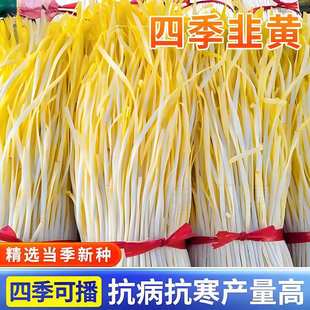 ���S�N���S�²˷N���r����@�˵��̨�����ͺ�����׷Nֲ�߲˷N��