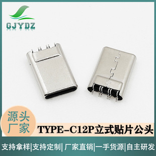 Customized Type-C6P Male Shell Riveted Vertical Plug-In Terminal Patch Charging USB Connector with Data
