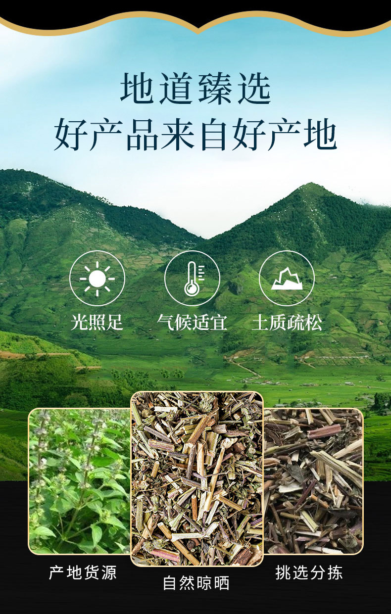 Jing Jie (Schizonepeta tenuifolia) — Dried Food Herb, Whole or Powdered, 500g overview