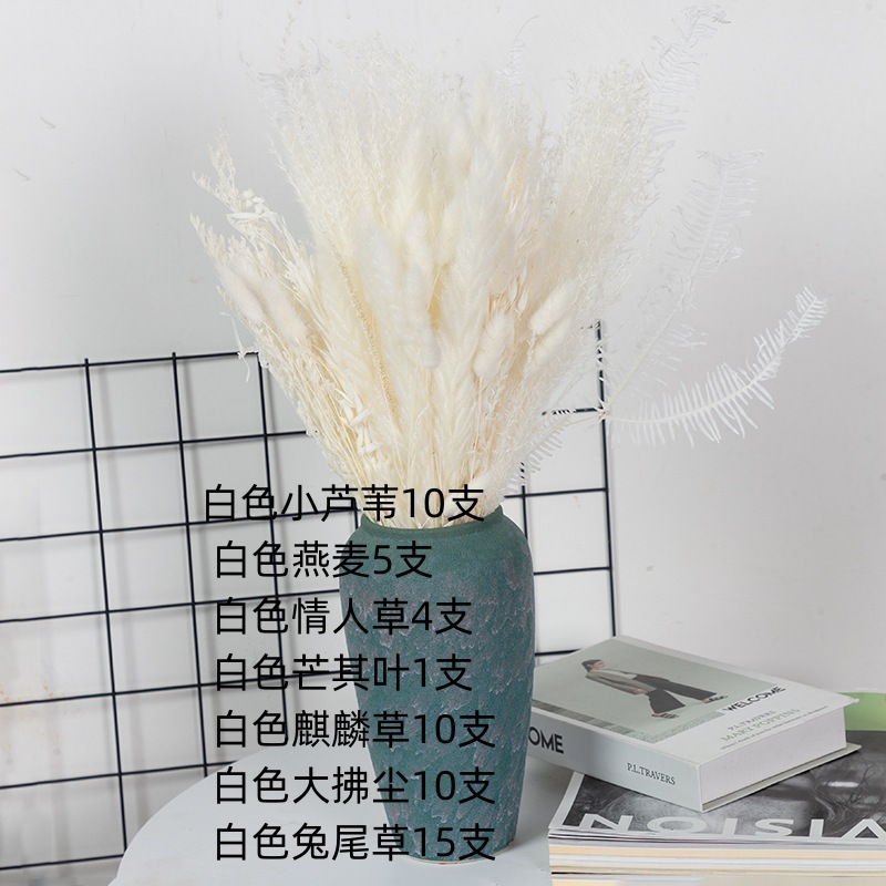 アマゾンはよく売れています。葦の花の花束です。|undefined