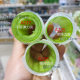 Green Air Bangs Curling Roller Plastic Hair Roller Elastant Clip Self-adhesive Hair Roller Lazy Eight-character Bangs